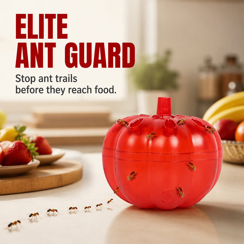 🎃 Pumpkin-Shaped Fruit Fly Trap – Decorative Indoor Fly Catcher for Kitchens & Home